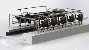 Dairy Consultancy 3